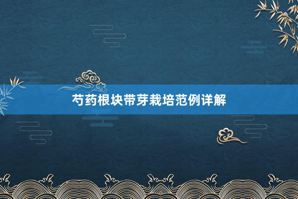 芍药根块带芽栽培范例详解